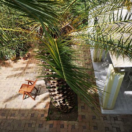 B&B La Salamandra Kitchengarden Forio di Ischia Exterior foto