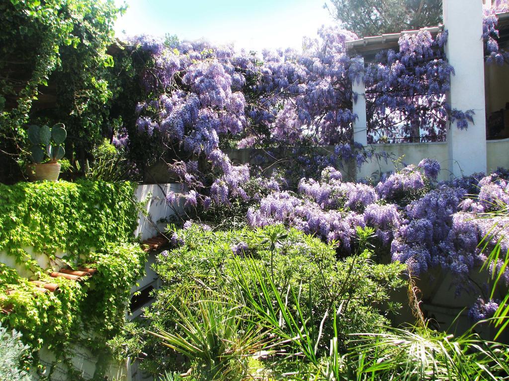 B&B La Salamandra Kitchengarden Forio di Ischia Exterior foto