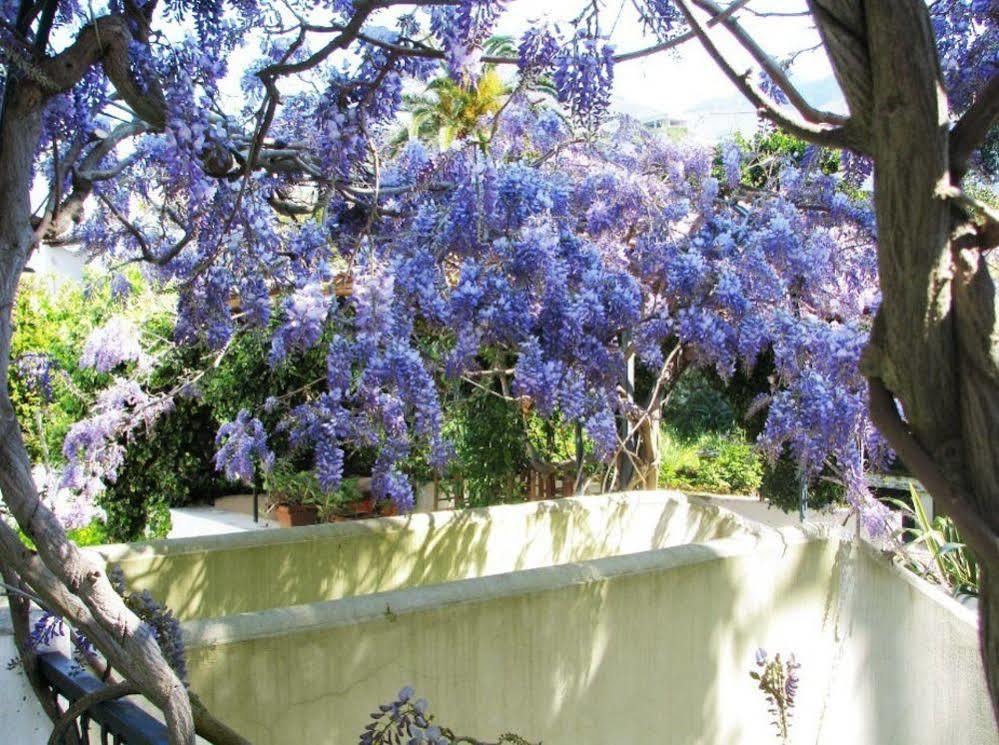 B&B La Salamandra Kitchengarden Forio di Ischia Exterior foto